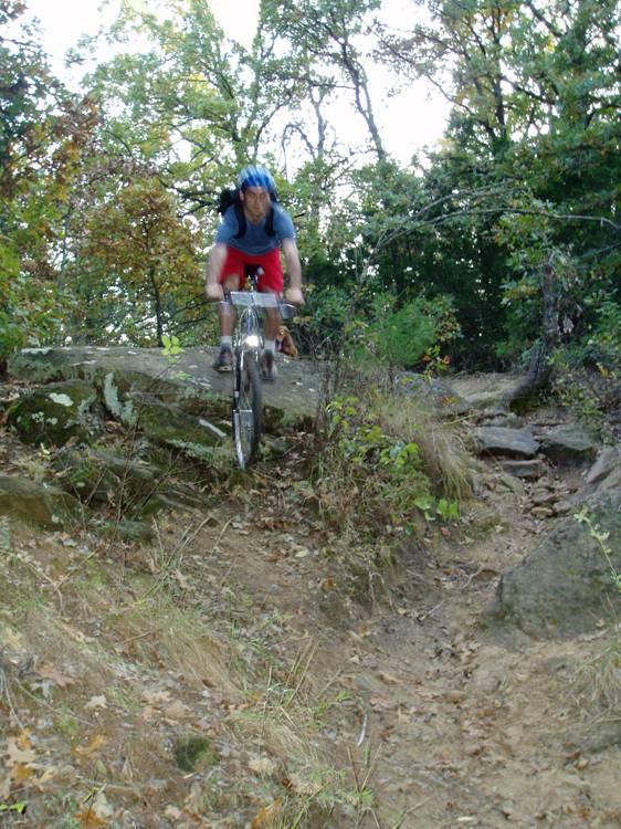 A mountain biker navigating a rocky trail in a forested area, wearing a blue helmet and a blue shirt with red shorts, while riding a silver bike over a rocky outcrop surrounded by greenery and trees. McMurtry Trail mountain bike trail.