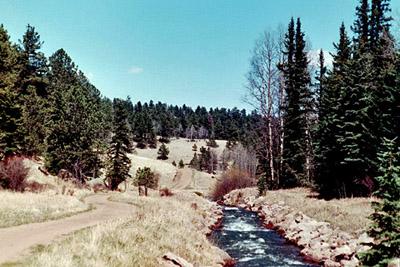 A serene landscape featuring a winding dirt path alongside a flowing creek, surrounded by lush green forests and rolling hills under a clear blue sky. The scene captures the tranquility of nature, with tall trees lining the banks and open fields in the background. Rampart Reservoir mountain bike trail.