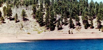 A scenic view of a shoreline with a calm blue lake in the foreground and a wooded hillside in the background, featuring tall evergreen trees and a sandy area along the water's edge. Rampart Reservoir mountain bike trail.