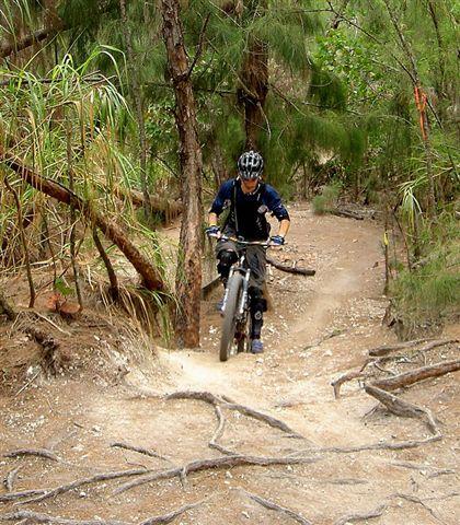 A person riding a mountain bike on a dirt trail surrounded by trees and vegetation. The rider is wearing a helmet and protective gear, navigating a path that has roots and loose dirt. Oleta River State Park mountain bike trail.