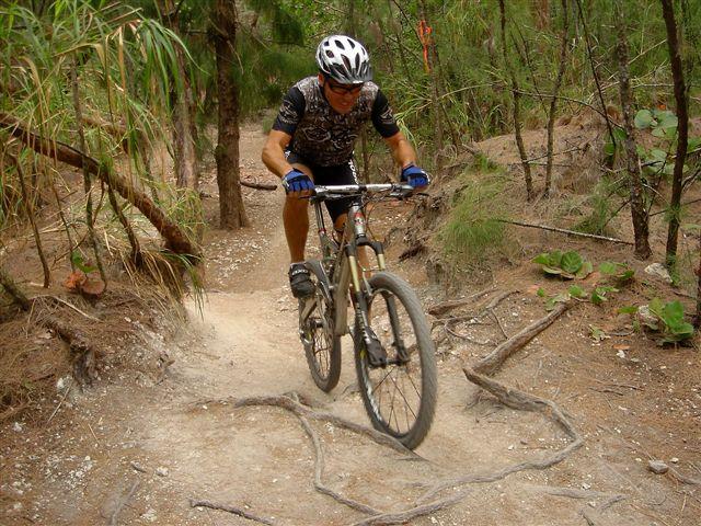 A mountain biker navigating a dirt trail surrounded by trees and vegetation, showcasing physical effort and concentration as he rides over roots and rough terrain. The cyclist is wearing a helmet and protective gear, emphasizing the adventurous nature of the sport. Oleta River State Park mountain bike trail.