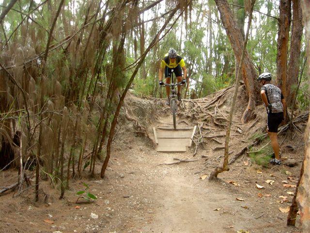 A mountain biker in a yellow shirt navigates a wooden plank bridge over a root-covered trail, while another cyclist in a patterned shirt watches from the side, surrounded by dense greenery. Oleta River State Park mountain bike trail.