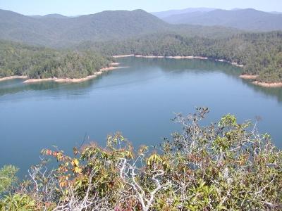 A serene view of a lake surrounded by green forests and mountains, reflecting the blue sky. The foreground features shrubs and foliage, enhancing the natural beauty of the landscape. Tsali Left Loop mountain bike trail.
