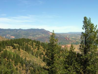 A panoramic view of a mountainous landscape featuring green pine trees in the foreground, rolling hills, and distant mountains under a clear blue sky. Captain Jack's mountain bike trail.