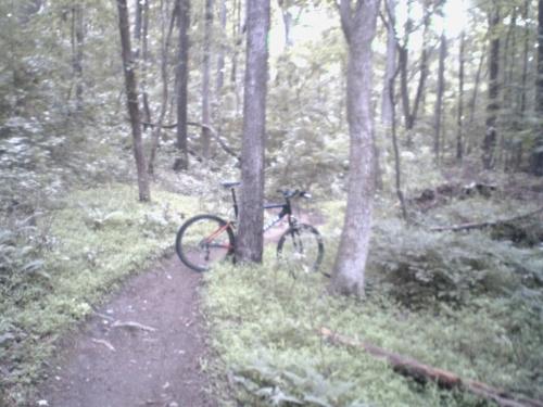 A mountain bike leaning against a tree on a narrow dirt trail surrounded by dense green foliage and trees in a forested area. Owls Roost (Bur-Mil Park) mountain bike trail.