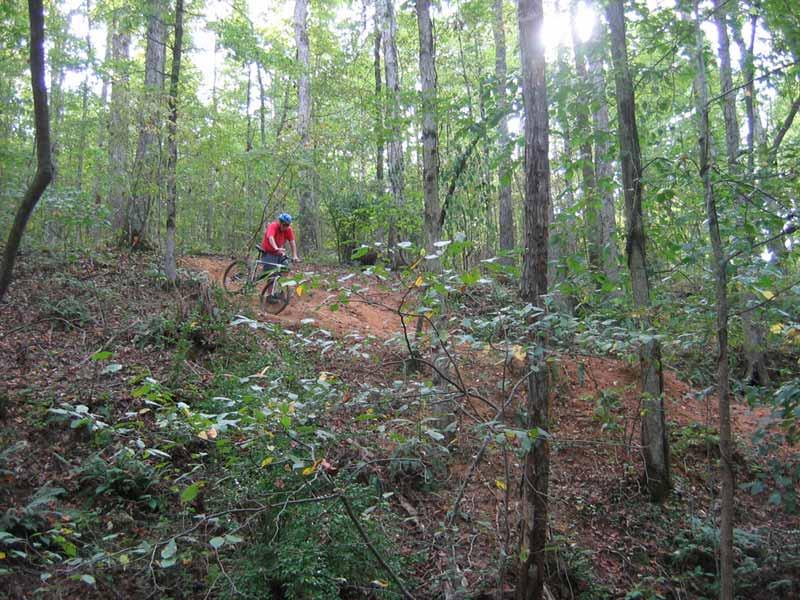 A mountain biker in a red shirt and blue helmet navigates a dirt trail through a forest, surrounded by green trees and underbrush. Sunlight filters through the foliage, creating a bright, natural atmosphere. Heritage Park mountain bike trail.