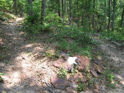 A forested area with a dirt path winding through greenery. In the foreground, there is a cluster of rocks and stones scattered on the ground, partially covered by leaves and grass. The surrounding trees are lush and provide a dense canopy. Lake Lurleen State Park Trail mountain bike trail.