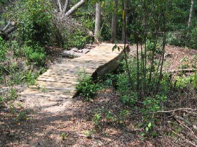 A stone pathway winding through a lush, green forest, surrounded by trees and shrubs. Sunlight filters through the foliage, casting dappled shadows on the ground. Lake Lurleen State Park Trail mountain bike trail.