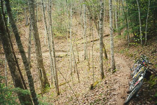 A narrow dirt trail winding through a forest, with tall trees and a carpet of fallen leaves. In the foreground, two parked mountain bikes are resting on the side of the trail. The scene captures a peaceful and inviting atmosphere for outdoor activities. Tsali Left Loop mountain bike trail.