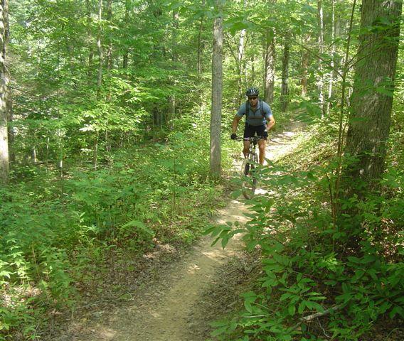 A mountain biker riding along a narrow dirt trail in a dense forest, surrounded by lush green trees and foliage. The cyclist is wearing a helmet and cycling attire, navigating the winding path during daylight. Tsali Left Loop mountain bike trail.