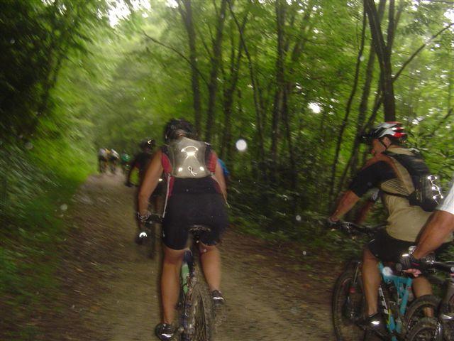 A group of mountain bikers riding along a narrow dirt trail surrounded by lush green trees. The path is slightly damp, suggesting recent rain. The bikers are wearing helmets and riding gear, with various bicycles visible in the image. Some riders can be seen ahead, creating a sense of movement and adventure in the natural setting. Tsali Mouse Branch Loop mountain bike trail.