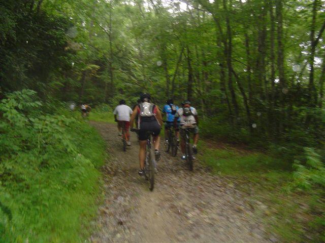 A group of mountain bikers riding along a gravel path in a wooded area, surrounded by lush green trees and foliage. The cyclists are wearing various athletic clothing, and the scene appears to be taking place in a natural, outdoor setting. Tsali Mouse Branch Loop mountain bike trail.