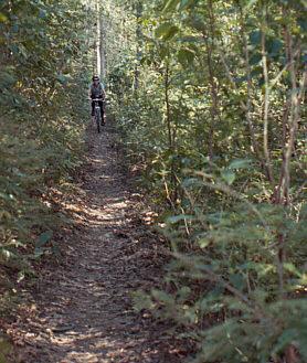 A person riding a bicycle along a narrow dirt trail surrounded by lush greenery and tall trees. Tsali Right Loop mountain bike trail.