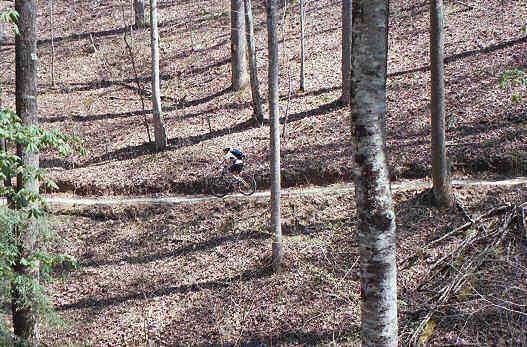 A mountain biker riding along a dirt trail in a wooded area, surrounded by tall trees and fallen leaves. Tsali Right Loop mountain bike trail.