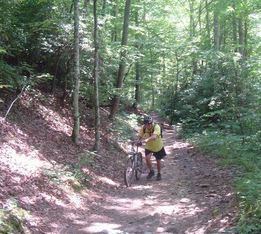 A cyclist pushing a mountain bike along a narrow, winding trail in a lush green forest, with sunlight filtering through the trees. The scene captures the natural beauty and challenge of outdoor biking. Tsali Thompson Loop mountain bike trail.