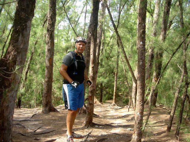 A person wearing a helmet and cycling gear stands amid tall pine trees in a forested area. The individual is looking toward the camera, with a dirt path visible underfoot. Sunlight filters through the trees, creating a serene outdoor atmosphere. Oleta River State Park mountain bike trail.