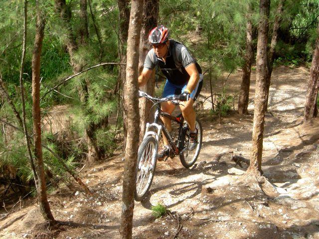 A mountain biker navigating a rocky trail through a wooded area, surrounded by trees, wearing a helmet and athletic gear. Oleta River State Park mountain bike trail.