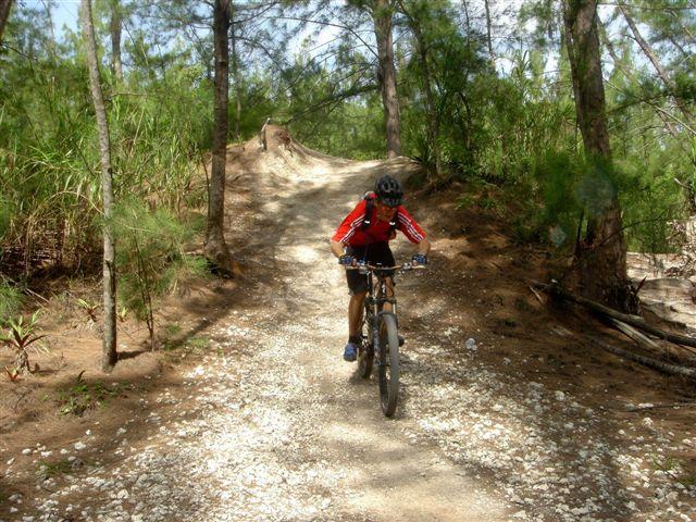 A mountain biker in a red jersey and helmet navigates a rocky, dirt trail surrounded by green vegetation and tall trees. The path curves upward, illustrating a challenging incline. Sunlight filters through the foliage, creating a dynamic outdoor scene. Oleta River State Park mountain bike trail.