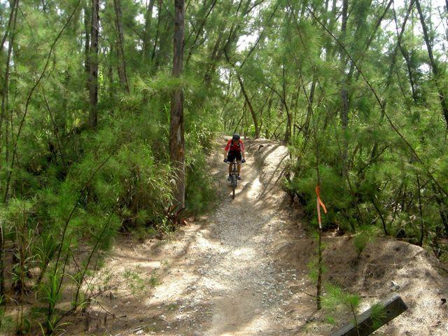 A person riding a mountain bike on a narrow, gravel path surrounded by lush green vegetation and trees. The trail winds through the forest, with sunlight filtering through the leaves. Oleta River State Park mountain bike trail.