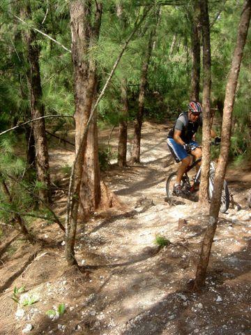 A mountain biker navigating a narrow, rocky trail surrounded by tall trees and greenery. The biker is wearing a helmet and riding gear, and is positioned on the bike, focused on the path ahead. Oleta River State Park mountain bike trail.
