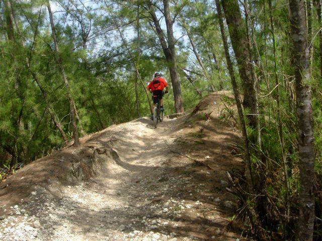A mountain biker in a red jacket rides along a dirt trail surrounded by trees, with a slight incline and rocky terrain. The scene is set in a natural wooded area, showcasing vibrant greenery and a clear sky. Oleta River State Park mountain bike trail.