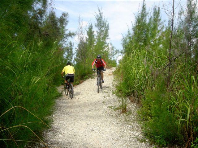 Two mountain bikers riding on a gravel trail surrounded by tall green plants and trees under a partly cloudy sky. One biker is wearing a yellow shirt and the other is in a red jacket. Oleta River State Park mountain bike trail.