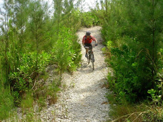 A mountain biker in a red shirt and helmet rides down a gravel trail surrounded by lush green plants and trees, showcasing an active outdoor scene. Oleta River State Park mountain bike trail.