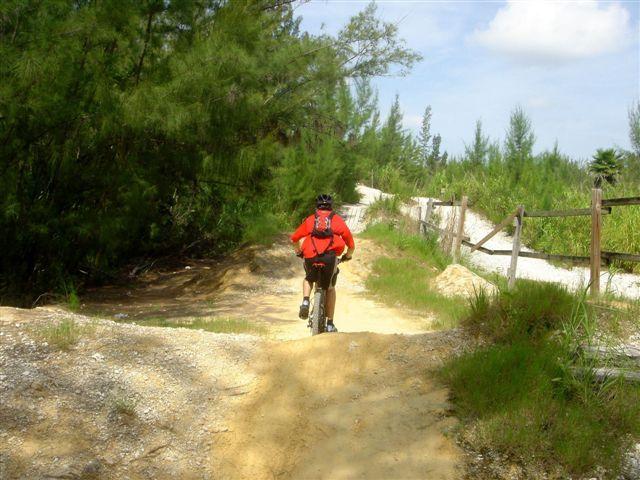 A person riding a mountain bike on a sandy trail surrounded by greenery, with trees in the background and a wooden fence along the path. The rider is wearing a red shirt and a helmet. Oleta River State Park mountain bike trail.