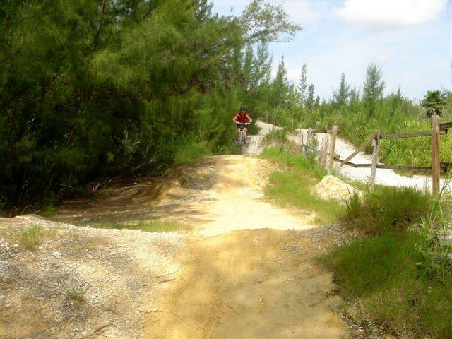 A cyclist riding on a dirt path surrounded by trees and greenery, with a wooden fence alongside the trail on a sunny day. Oleta River State Park mountain bike trail.