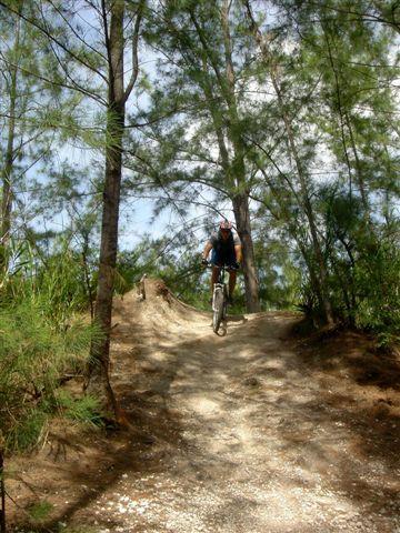 A person riding a mountain bike down a dirt trail surrounded by tall pine trees. The path is uneven and includes a small hill, with sunlight filtering through the branches above. Oleta River State Park mountain bike trail.