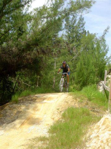 A cyclist riding a mountain bike on a dirt trail surrounded by lush greenery, with trees in the background and a clear blue sky above. The biker is navigating a downhill section of the path. Oleta River State Park mountain bike trail.