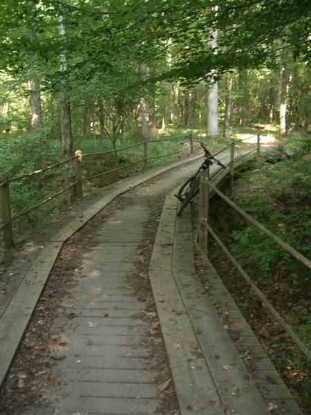 A winding wooden pathway through a dense forest, featuring a bike leaned against the railing. The path is bordered by lush greenery and trees, creating a serene natural setting. Dauset Trails Nature Center mountain bike trail.