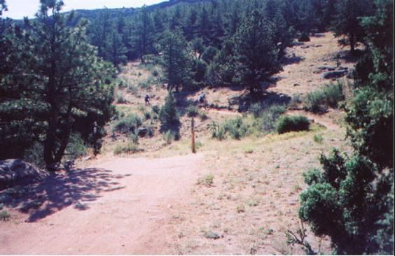 A dirt path leading through a natural landscape filled with trees and shrubs, with a gentle slope and distant hills in the background. The scene is sunny and showcases a serene outdoor setting. Hall Ranch mountain bike trail.