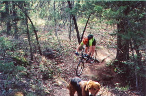 A cyclist in a green shirt and helmet rides a mountain bike over a rocky section of a trail, surrounded by lush trees and greenery. A dog with brown and black fur is visible in the foreground, watching the cyclist. McMurtry Trail mountain bike trail.