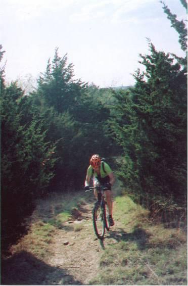 A mountain biker navigates a narrow trail surrounded by dense greenery, showcasing a sense of adventure in an outdoor setting. The cyclist is wearing a bright helmet and gear while riding on a rocky path under a clear sky. McMurtry Trail mountain bike trail.