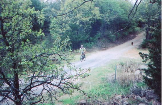 A cyclist riding along a gravel path surrounded by green trees and brush, with a small dog walking nearby on the trail. The scene captures a serene outdoor environment in a natural setting. McMurtry Trail mountain bike trail.