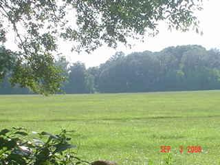 A serene landscape featuring a large, open green field under a clear sky, bordered by a line of trees in the background. The image captures the peacefulness of nature on a sunny day. San Felasco Hammock Preserve mountain bike trail.