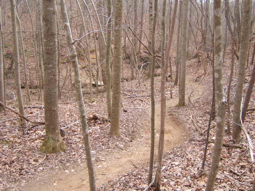 A winding dirt path through a wooded area, with bare trees and fallen leaves covering the ground, suggesting a tranquil, natural setting in early spring or late autumn. Chicopee Woods mountain bike trail.