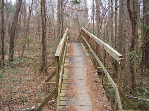 Wooden footbridge in a forest, surrounded by trees and underbrush, with scattered leaves and pine needles on the walkway. The bridge leads into a natural wooded area. Chicopee Woods mountain bike trail.