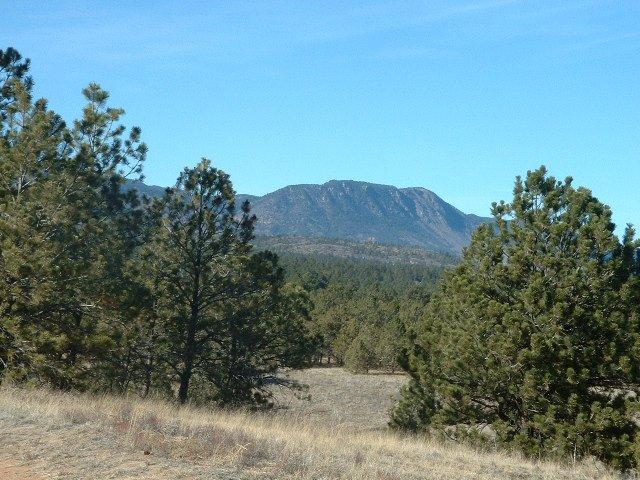 A scenic landscape featuring a distant mountain range under a clear blue sky, framed by tall pine trees in the foreground. The terrain is a mix of grassland and forest, showcasing the natural beauty of the outdoors. Santa Fe Trail mountain bike trail.