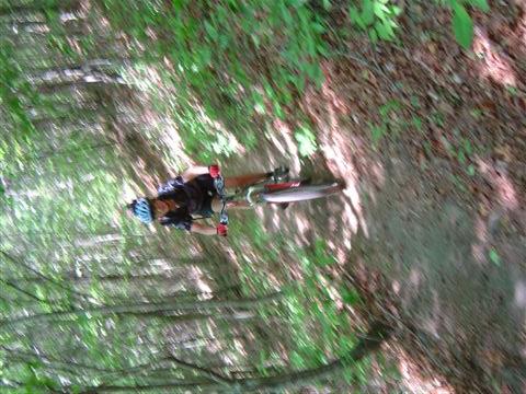 A person riding a mountain bike on a narrow, wooded trail surrounded by lush green foliage. The cyclist is wearing a helmet and cycling gear, focused on navigating the path through the forest. Tsali Thompson Loop mountain bike trail.