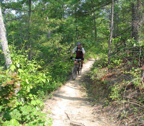 A cyclist riding a mountain bike along a narrow dirt trail surrounded by lush greenery and tall trees. The scene depicts a sunny day in a forested area, highlighting the natural beauty of the outdoors. Tsali Left Loop mountain bike trail.
