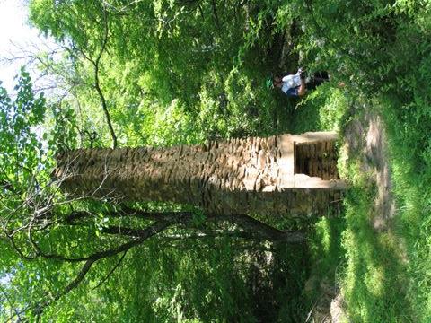 An old stone chimney remains in a lush green forest, partially hidden by surrounding trees and foliage. A person can be seen in the background, adding scale to the structure. The sunlight filters through the leaves, creating a serene and natural atmosphere. Tsali Left Loop mountain bike trail.