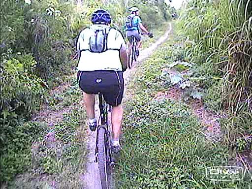 Two mountain bikers navigate a narrow dirt trail surrounded by lush greenery. The first rider, seen from behind, wears a white shirt with a backpack, while the second rider is slightly ahead in blue. Tom Brown / Lafayette Heritage Park mountain bike trail.
