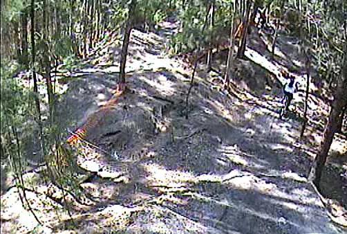 A forested area with a dirt path leading through trees, showing uneven terrain and markings. There is caution tape visible in the foreground, indicating potential hazards. Tom Brown / Lafayette Heritage Park mountain bike trail.