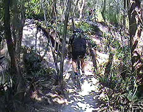 A mountain biker navigating a narrow, winding trail surrounded by dense vegetation and trees. The trail is partly shaded, with sunlight filtering through the leaves, creating a natural atmosphere. Tom Brown / Lafayette Heritage Park mountain bike trail.