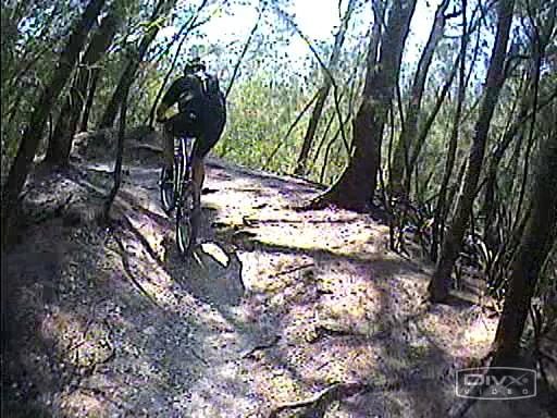 A person riding a mountain bike on a dirt trail surrounded by tall trees in a forest setting. The trail is uneven with exposed roots and sunlight filtering through the foliage. Tom Brown / Lafayette Heritage Park mountain bike trail.