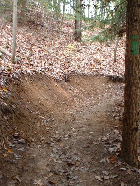 A dirt trail winding through a forest, surrounded by trees and covered with fallen leaves. The path shows signs of wear, with a slight curve to the left and a noticeable incline on the right side. Tanasi Trail System mountain bike trail.