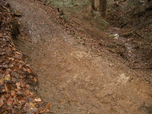 A muddy trail in a forested area, with fallen leaves on the ground and a small stream visible in the background. The trail appears wet and recently disturbed, surrounded by trees and underbrush. Tanasi Trail System mountain bike trail.
