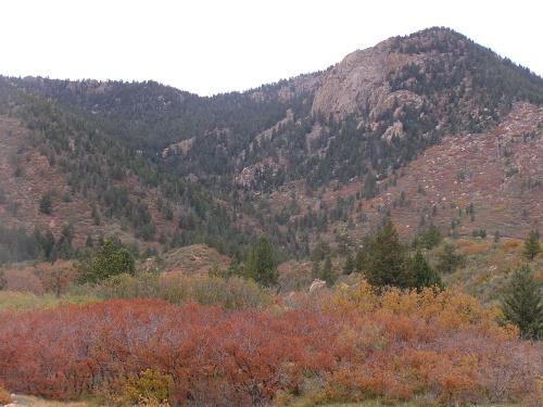 A scenic view of a mountainous landscape featuring autumn foliage. The foreground showcases bushes and trees with reddish and orange leaves, while the background consists of rugged mountains covered in evergreen trees. The sky is overcast, adding a serene atmosphere to the natural setting. Blodgett mountain bike trail.